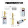 20pcs/10pairs Banana Plugs Gold-Plated 4MM Banana Connector with Screw Lock(Color:with Naxxxxchi) view 3
