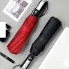 RENEESME Umbrellas for Rain Automatic Umbrella Large Double Men's Business Portable Umbrella Strong Umbrella for Wind and Rain(Color:B) view 2