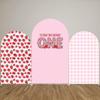 Iydamc Strawberry Theme Arched Fabric Backdrop Covers Photography Background Pink Plaid Arch Stand Stretchy Covers for Kids ONE Birthday Baby Shower Party Decor Props (4.6x8FT Only Cover) view 4