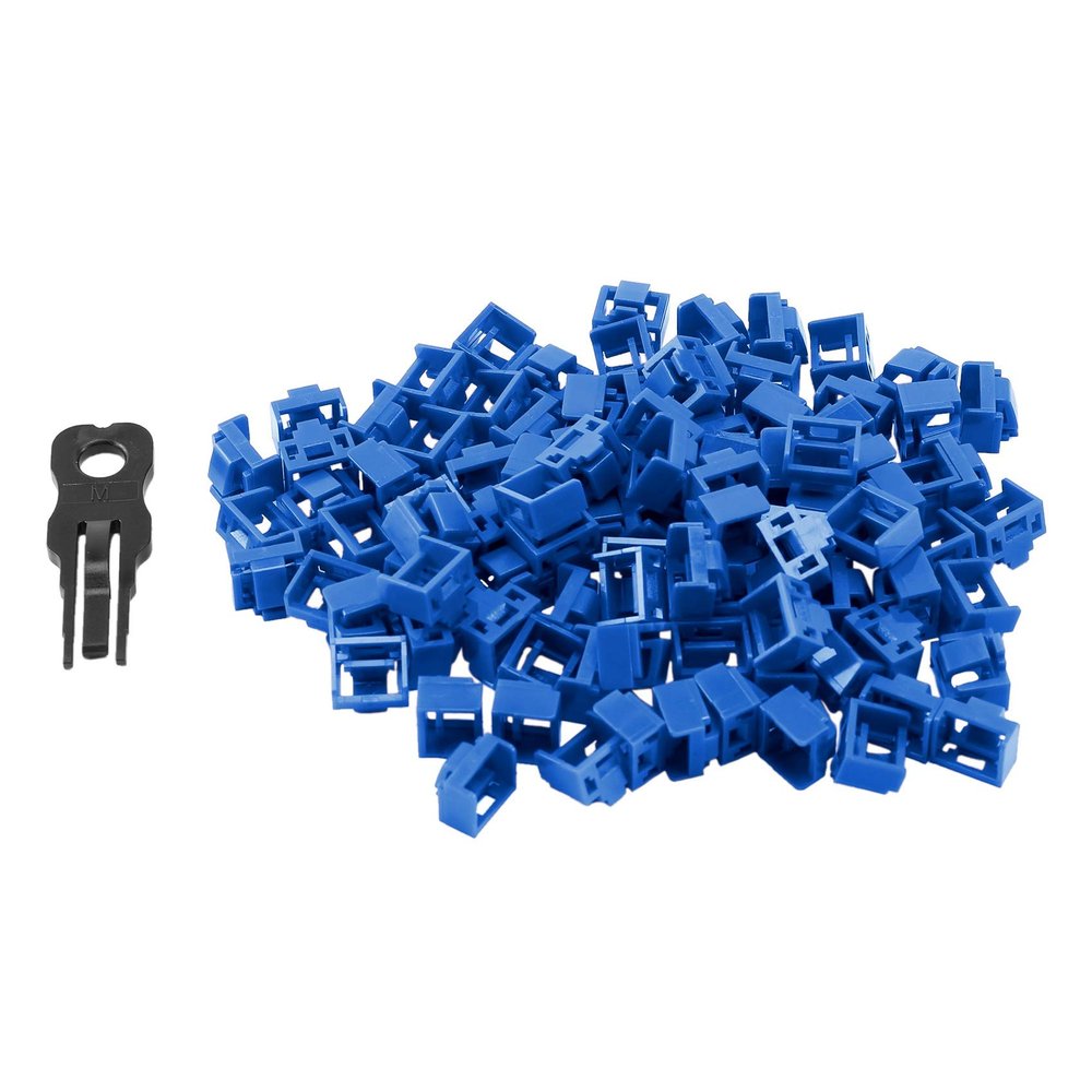 Lizusidtsy 100Pcs Blue RJ45 Port Ethernet LAN Hub Anti Dust Cover Plug Cap Blockout Protector with Proprietary Lock and Key, 500069806A2