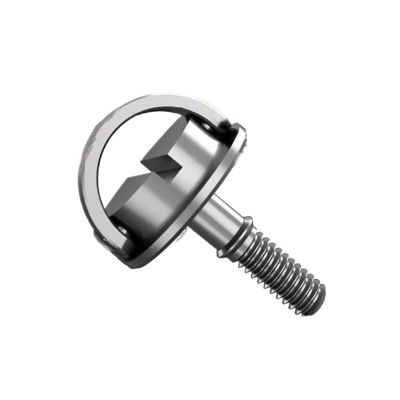 1PCS M2 M2.5 M3 M5 Stainless Steel D-Ring Camera Mount Screw Quick Release Plate Adapter Screw for Tripod Monopod Screw(M2 4x4mm)