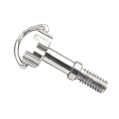 1PCS M2 M2.5 M3 M5 Stainless Steel D-Ring Camera Mount Screw Quick Release Plate Adapter Screw for Tripod Monopod Screw(M2.5 5x6mm)