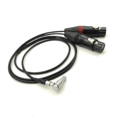 A~ri Al~xa M~ni Audio Cable, M~ni Two-Channel Audio Cable, 00B 5-pin to Neu~rik XLR 3-pin Female(Length-100cm)
