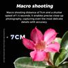ATLI 1080P Time Lapse Camera FHD APP Control Timelapse Video Camera Remote Access with Memory Card for Indoor Flower Plants Weather Cooking Artist (Red & Black) view 4