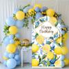 Lemon Arch Backdrop Cover Bilayer Stretchy Spandex Fabric Baby Birthday Background,Party Props,Stand is not Included (2.2x5ft(65x150cm),GX3068) view 3
