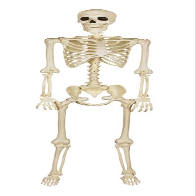 Spirit Halloween 5 Ft Black Light Pose 'N' Stay Skeleton, Multicolor