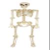 Spirit Halloween 5 Ft Black Light Pose 'N' Stay Skeleton, Multicolor view 1