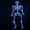 Spirit Halloween 5 Ft Black Light Pose 'N' Stay Skeleton, Multicolor view 2