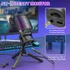 ZealSound BKD-11 Microphone and D65k Pop Filter view 2