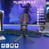 ZealSound BKD-11 Microphone and D65k Pop Filter view 4