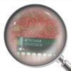 CD4022BCN 9Pcs CD4022BCN view 1