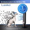 Lasko 12" 289 CFM Pivoting Utility Fan and MyCool Mini USB Desk Fan with AC Adapter and USB Cable view 3