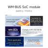 868MHz 915MHz EFR32FG23 WM-Bus Wireless SoC Module E50-900NW20SX RF IC Long Distance 2.5KM M-Bus Low Power Ipex Antenna Interface Star Networking view 3