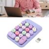 ciciglow Numeric Keypad with 2.4G USB Receiver, Cute Colorful Retro Round Keycaps, Portable Financial Accounting Numpad Number Keyboard Extensions for PC Laptop (VioletTheme) view 4
