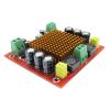 WEIWO Digital Amplifier Board Mono Channel Digital Power Audio Amplifier Board XH-M544 view 2