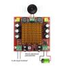 WEIWO Digital Amplifier Board Mono Channel Digital Power Audio Amplifier Board XH-M544 view 3