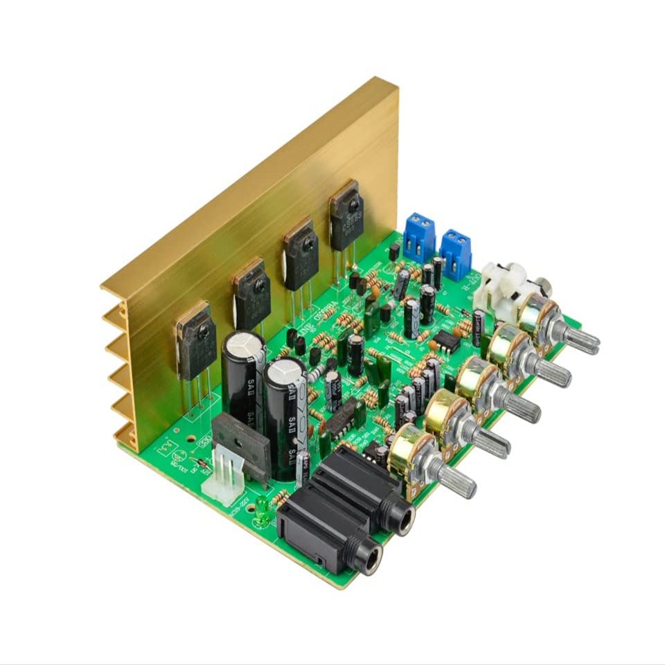 WEIWO Audio Amplifier Board HiFi Digital Reverb Power Amplifier 100W Audio Preamp Rear Amplification with Tone Control