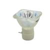ZHUORAN NP28LP Projector Bulb for N-EC M302W/M302WS/M302X/M302XS/M303WS/M322W/M322WS/M322X/M322XS/M323W/M323X/M332X/NP-M302W(CB) view 1
