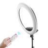 22inch LED Ring Lights Kit with Tripod Mirror, 100w Continuous Output Lighting for Makeup Tattoo Nail Studio Live Stream, Adjustble Bi-color Ring Lamp for YouTube Vlog (FS640, Black) view 4