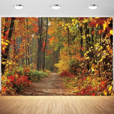 12x8ft Autumn Scenery Deciduous Backdrop Fall Woodland Mountain Road Photography Background Fall Tree Leaves View Decorations Wallpaper Photo Booth Props