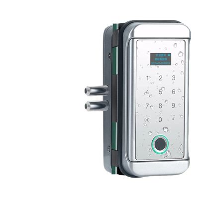 Intelligent Door Lock Intelligent Fingerprint Door Lock Outdoor Sliding Door Biometric Glass Door Lock Keyless Electronic with Keypad Fiing for Lock (Color : A1) (B1)