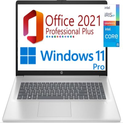 hp 17.3" HD+ Business Laptop, 13th Gen Intel Core i5-1334U (10cores,12 threads), 16GB RAM, 512GB SSD, Free Lifetime Office 2021, HDMI, WiFi 6, BT5,Windows 11 Pro (16GB RAM | 512GB SSD, Natural Silver)