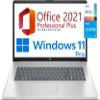 hp 17.3" HD+ Business Laptop, 13th Gen Intel Core i5-1334U (10cores,12 threads), 16GB RAM, 512GB SSD, Free Lifetime Office 2021, HDMI, WiFi 6, BT5,Windows 11 Pro (16GB RAM | 512GB SSD, Natural Silver) view 1