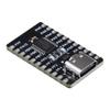 MARALANG Advanced RISC V Processor Module TWEN32F003 Development Board view 1