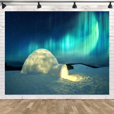CORFOTO Aurora Igloo Backdrop Fabric 8x6ft Arctic Landscape Snowy Northern Lights Ice House Background for Arctic Themed Party Decorations Northern Lights Christmas Banner Adults Kids Photo Props