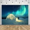 CORFOTO Aurora Igloo Backdrop Fabric 8x6ft Arctic Landscape Snowy Northern Lights Ice House Background for Arctic Themed Party Decorations Northern Lights Christmas Banner Adults Kids Photo Props view 2