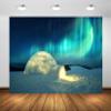 CORFOTO Aurora Igloo Backdrop Fabric 8x6ft Arctic Landscape Snowy Northern Lights Ice House Background for Arctic Themed Party Decorations Northern Lights Christmas Banner Adults Kids Photo Props view 3