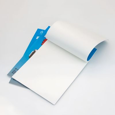 DMK Lens Cleaning Paper, 500 Pieces Laser Lens Cleaning Paper Tissue for Camera Lenses, Microscopes, Computer Screens, Magnifiers, Glasses,10 Booklets