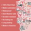 10pcs Pig Lover Sticker Sheet, Cute and Funny Vinyl Decals for Animal Lovers, Pig Fans, Waterproof, UV-Resistant, for Laptop, Water Bottle, Journal, Notebook, Phone Case view 3