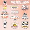10pcs Tap Dance Sticker Sheet, Cute and Cool Vinyl Decals for Dancers Life, and Dance Teachers, Waterproof, UV-Resistant, for Laptop, Water Bottle, Notebook, Journal, Mirror, Phone Case view 2