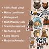 10pcs Bear Lover Sticker Sheet, Cute Vinyl Decals for Nature Fans, Animal Lovers, and Wildlife Enthusiasts, Waterproof, UV-Resistant, for Laptop, Water Bottle, Journal, Notebook, Phone Case view 3