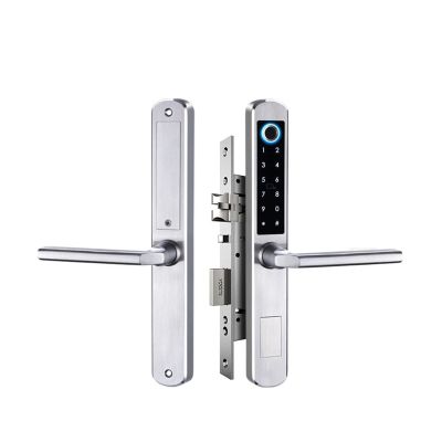 Aluminum Terrace Sliding Glass Door Smart Lock Lock App Handle Keypad Fingerprint Electronic Digital Lock (Color : Gold, Mortise Lock Size : 22 240 3585) (A 22 240 6085)