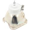 ALQZQ Original for PK-L2618U/UW Replacement Projector Lamp Bulb NSHA250JK/NSHA265JK Bulbs for DLA-NP5B DLA-NP5W Projector, White view 1