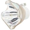 ALQZQ Original for PK-L2618U/UW Replacement Projector Lamp Bulb NSHA250JK/NSHA265JK Bulbs for DLA-NP5B DLA-NP5W Projector, White view 3