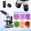 SWIFT SW350B-EC5R-5PBC-SPAE2628 40X-2500X Siedentopf Research-Grade Compound Lab Binocular Microscope with 5MP Camera and Smartphone Adapter and 5 PCS Prepared Slides and 5 PCS Blank Slides view 2
