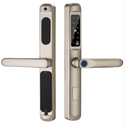 Hebralytic Waterproof Outdoor Fingerprint Lock with Handle, WiFi APP/Card/Password/Keyless Entry Smart Electronic Door Lock for Aluminum/Glass Sliding Door, Digital Door Locks(Gold,270-3585)