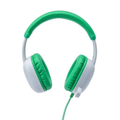 Avid AP-400 WonderEars Classroom Headphone with Microphone, USBC, Green