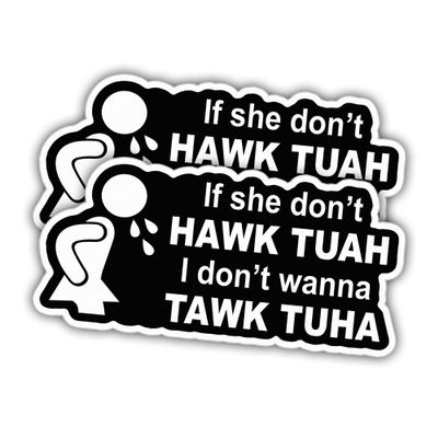(2pcs) Hawk Tush Funny Sticker If She Don't Hawk Tush Sticker I Don't Wanna Tawk Tuha Spit On That Thang Size 4" Meme Funny Vinyl Stickers Weather-Resistant Stickers for Water Bottles Laptop Window