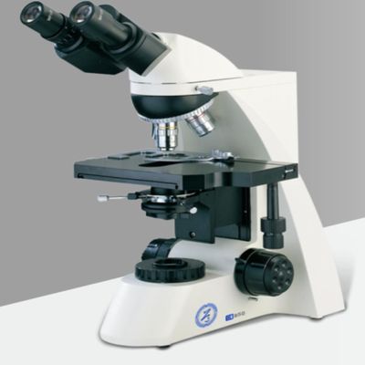 2m micro coaxial focusing Upright Microscope