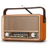 PRUNUS J-120 Radio Portable AM FM, Gifts for Mom Father, Plug in Wall view 1