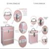 Retro musique Aluminium 12" Vinyl Record Storage Case with Unique Folding Front Flap for Better Access to Your LPs,Holds up to 40 LPs,(in PVC Sleeves) includes 40 Vinyl Record Outer Sleeves, Rose Gold view 4
