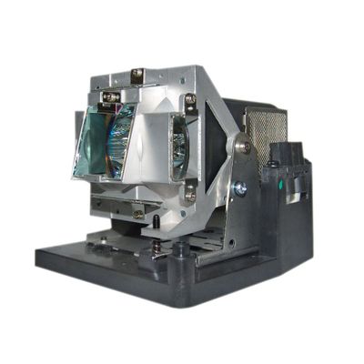 Advanced Lamps Lamp & Housing for The Vivitek D795WT Projector
