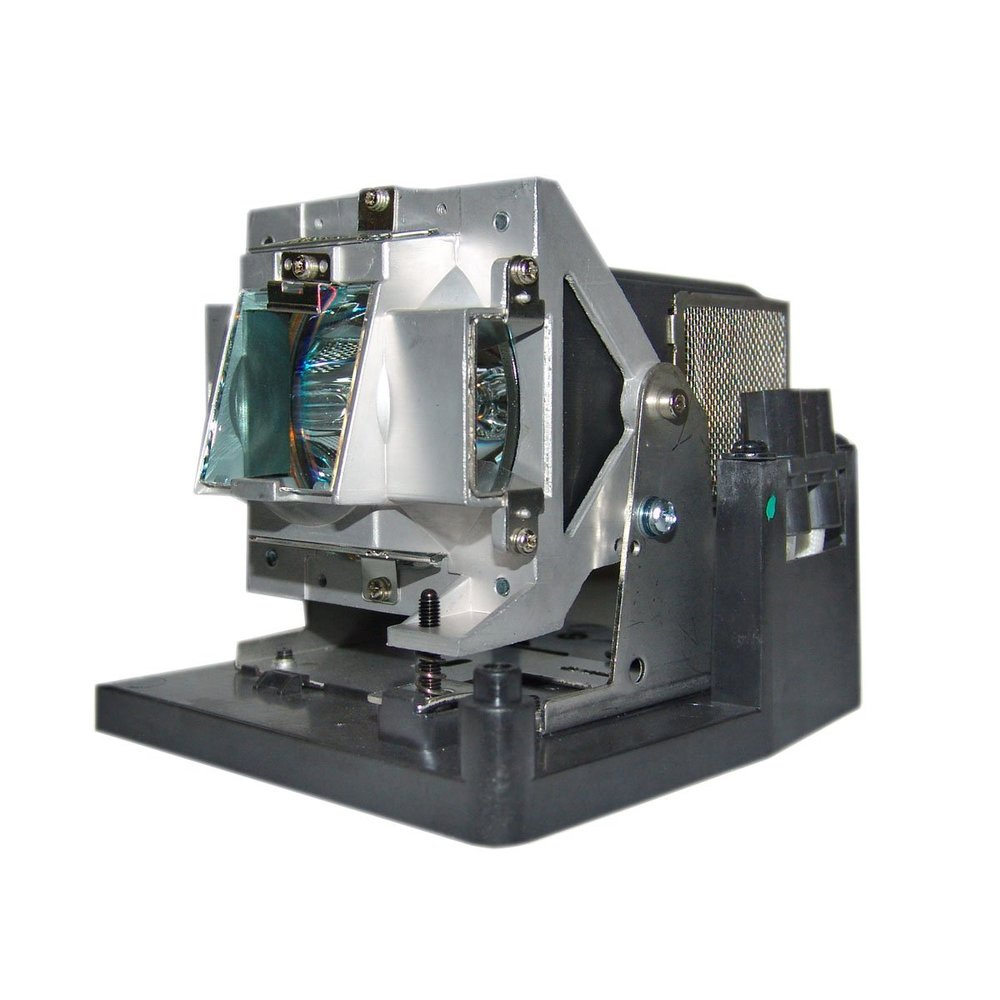 Advanced Lamps Lamp & Housing for The Vivitek D795WT Projector