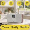 MangoKit SR20 Wi-Fi Radio, Bluetooth, True 2.0 Stereo, Internet-Walnut view 2