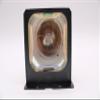 Advanced Lamps Lamp & Housing for The Mitsubishi LVP-X400BU Projector view 4