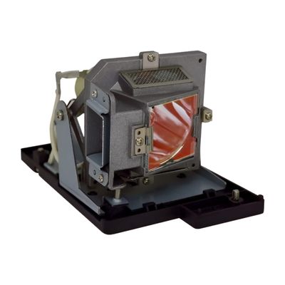 Advanced Lamps 997-5248-00 Lamp & Housing for Planar Projectors - Fits PD2010, PR2010, PR2020, 997-5248-00-1 Unit Per Pack - 90-Day Warranty